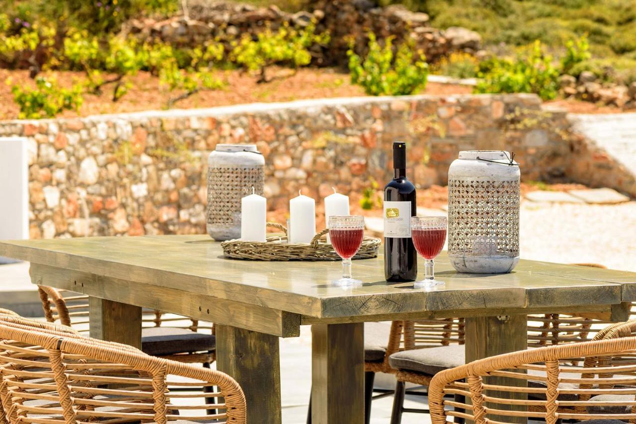 Paros Villa Blue Senses Alikí Eksteriør billede