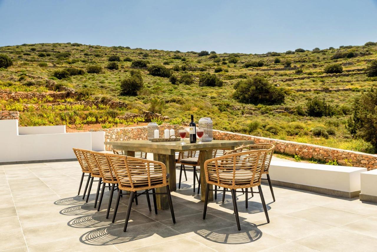 Paros Villa Blue Senses Alikí Eksteriør billede