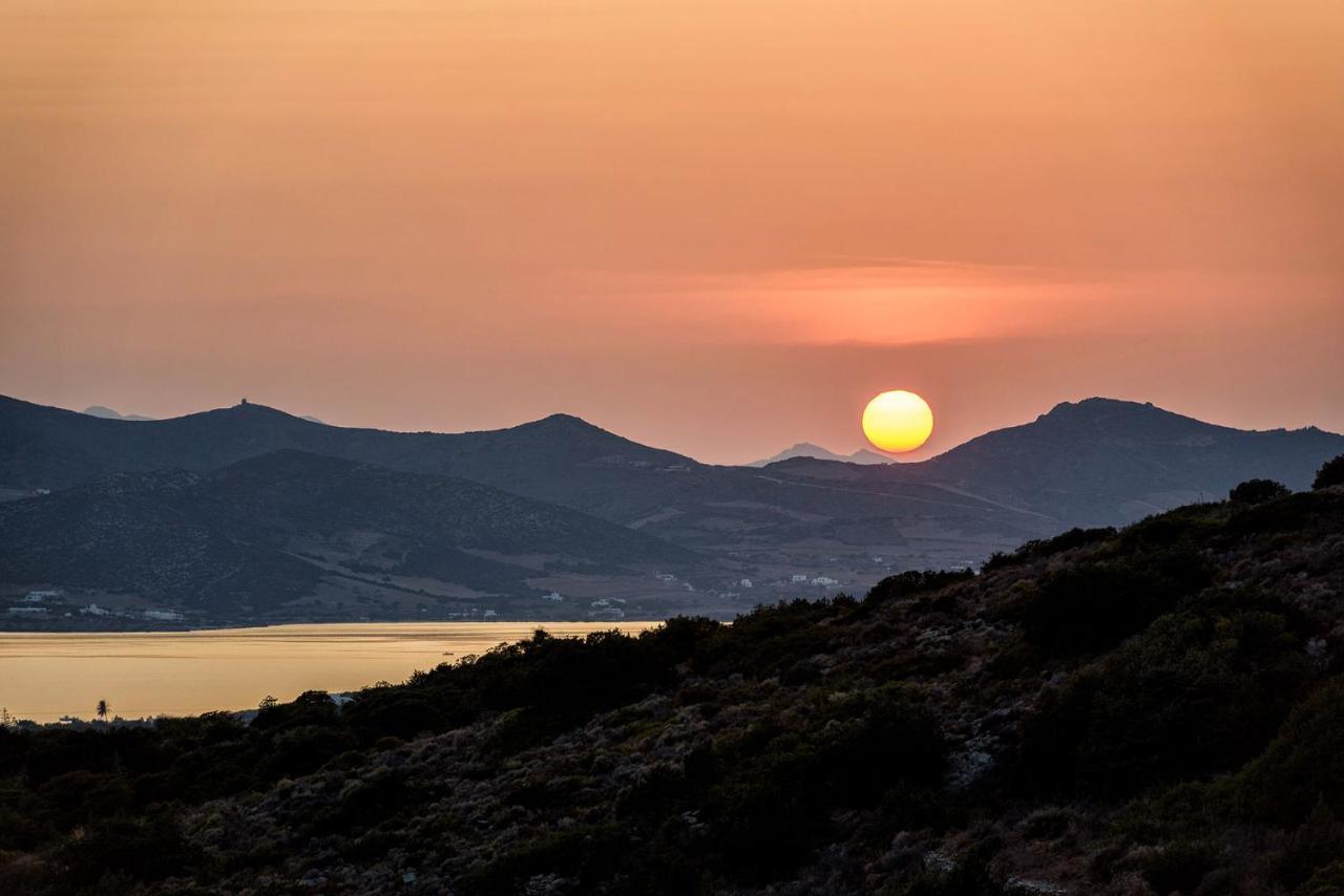Paros Villa Blue Senses Alikí Eksteriør billede